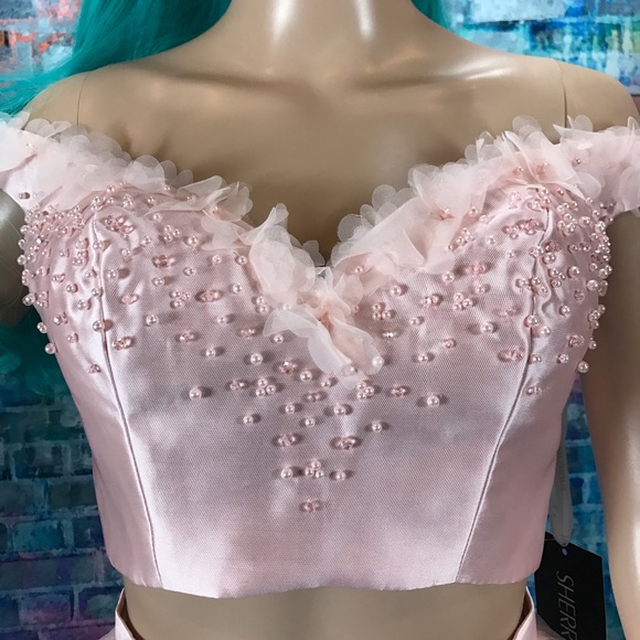 SHERRI HILL ๐ 2pc Blush Gown! #52046 - Picture 4 of 7